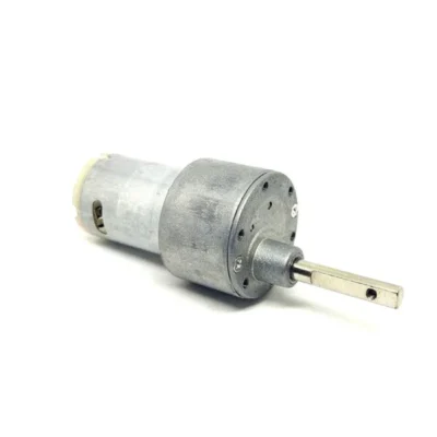 Johnson Geared Motor